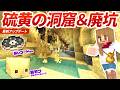 新バイオーム硫黄の洞窟を探索！新廃坑でレコードとサルファーキューブも大量発見！！【マイクラ実況 マインクラフト】60