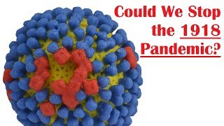 Could the 1918 Influenza Pandemic Happen Again?