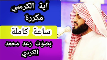 آية الكرسي مكررة ساعة كاملة ( سورة البقرة ) رعد الكردي