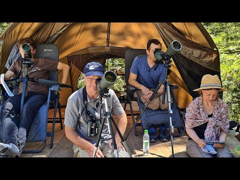 VOGELPERSPEKTIVEN | Trailer deutsch german [HD]