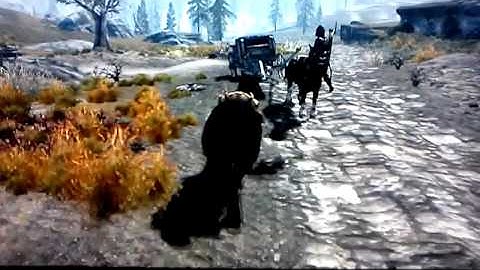 Skyrim glitch horse riding