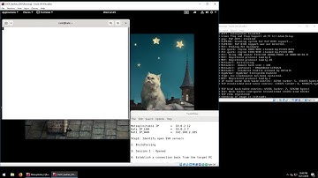 Linux Persistence - NetCat Reverse Shell via Cronjob **MUSIC at 1:35(mute in class!!)
