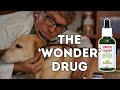 Miracle Healing Power of DMSO