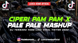 Dj Ciperi Pam Pam X Pale Pale Mashup  Dj Tiktok Terbaru 2022  Luxica Remix 