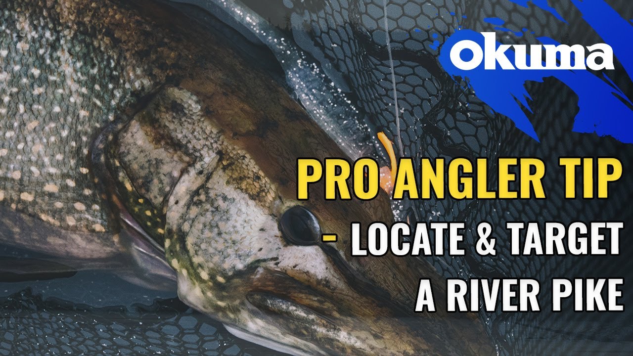 Pro Angler Tip - Locate & Target a river pike 