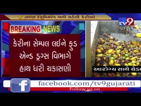 FDA team conducts checking in Vadilal company, stale mangoes found | Valsad - Tv9