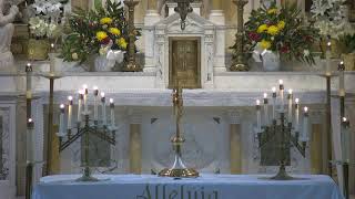 1st Friday Adoration  | Friday of the Ninth Week in Ordinary Time 06.05.26