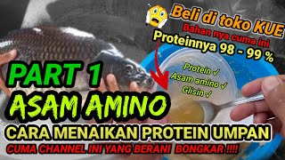 Umpan ikan mas High protein | bongkar resep andalan para master