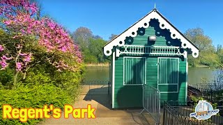 A Springtime Walk in Regent's Park London with Sinead