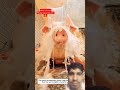 A pig fell out of the truck and than #pig #animals #animalshorts #animalrescue #youtubeshorts