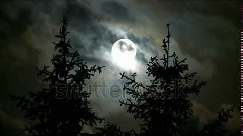 stock footage full moon pines and clouds at night