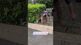 World’s 2nd Most Venomous Snake Caught in Backyard Chase|| Heartsome 💖