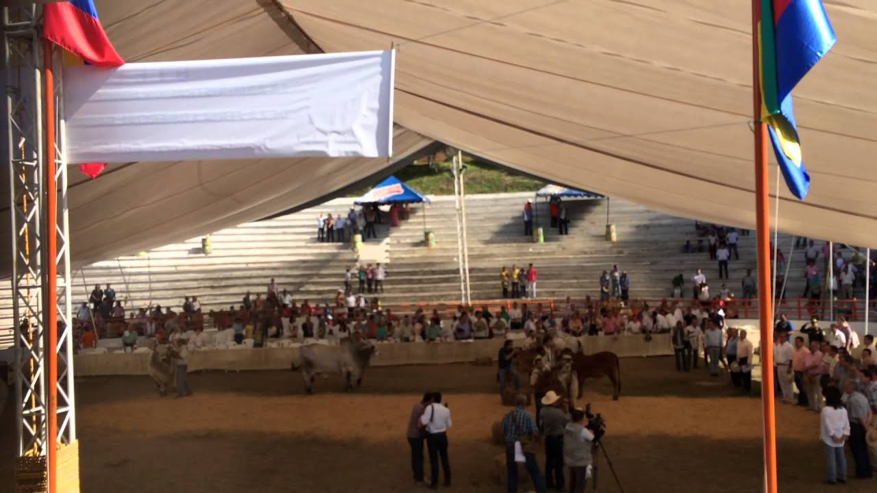 Feria Ganadera del Socorro 100 Años (Socorro, Santander - Colombia)