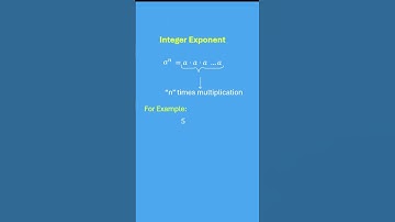 Integer Exponent