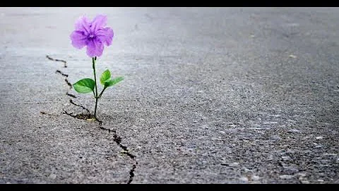 2021-10-17 - Hope After Failure (Marilyn Hardy)