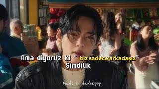 v - fri(end)s (Türkçe Çeviri) MV Resimi