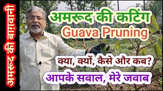 157. अमरूद की कटिंग - समस्याएं और सुझाव । Guava Pruning - Problems and Suggestions