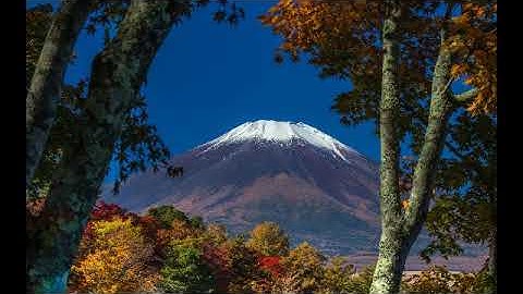 سورة الجن كاملة القارئ خالد الحبشي