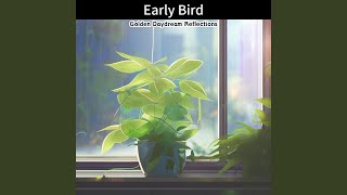 Dawn's Early Tranquility (Key B Ver.)
