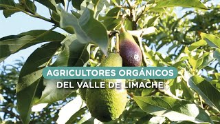 Agricultores orgánicos Limache