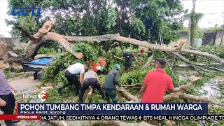 Hujan Lebat Timbulkan Pohon Tumbang Timpa Rumah Warga & Kendaraan di Sorong #SeputariNewsPagi 09/12