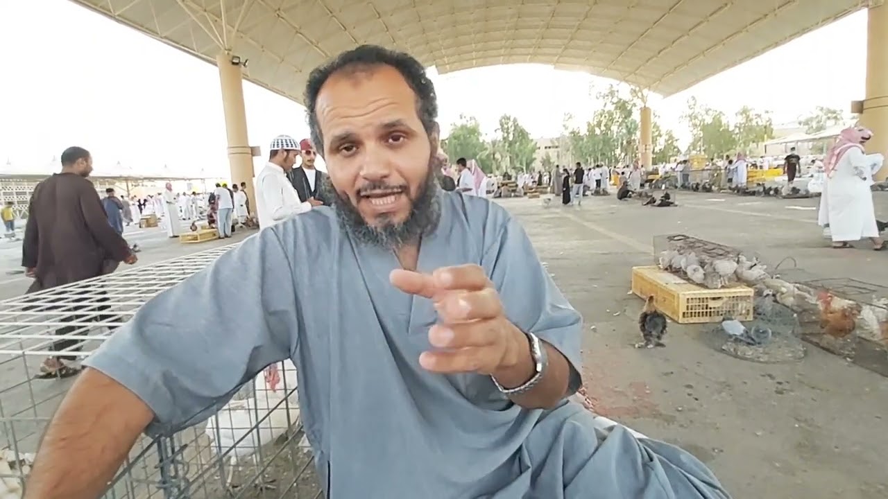 بريده/تغطية حراج الطيور الكبير صباح الجمعه ٢٨/١/١٤٤٤ ماشاء الله تبارك الله(صل على محمد )