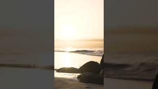 1488 1016390 mp3