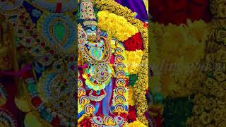 கேட்டவருக்கு கேட்ட வரம் கொடுப்பவர் #முருகர்#shortsfeed#....