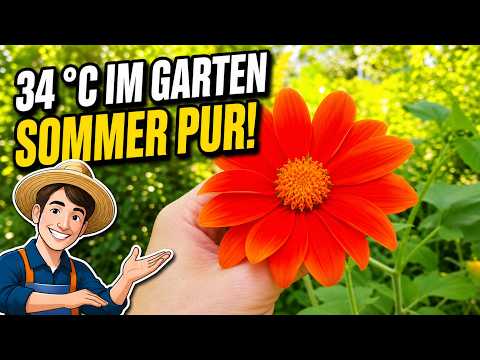 Einmal Querbeet bei 34°C – 12.08.2024