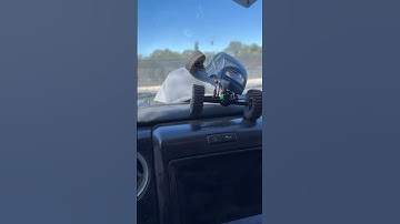 I need to clean my truck…. #automobile #axial #scx24 #offroad #rcoffoad #rccar