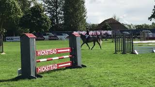 Igna 4yo qualifier at Hickstead 31/08/17 QUALIFIED