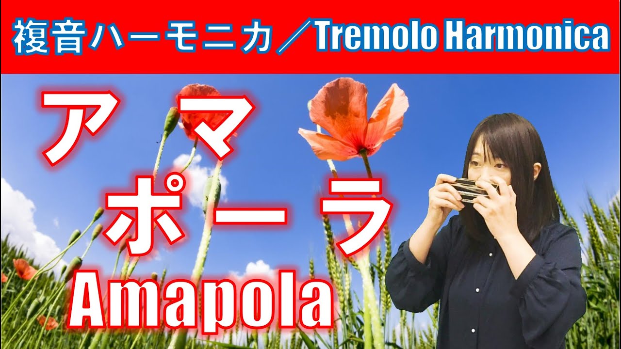 P341 アマポーラ Amapola 複音ハーモニカ By 柳川優子 Yuko Yanagawa Tremolo Harmonica 1 000 複音口琴 Youtube