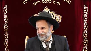 הרב  יהודה נקי שליט"א הלכות שבת עבודה בשבת