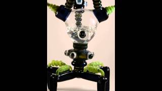 Glass Web Crawler -- Internet Search Bot