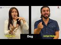 Filipino Sign Language (FSL) & American Sign Language (ASL)