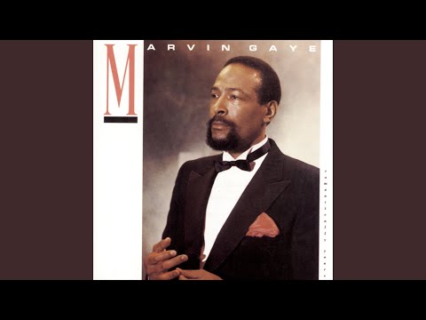 Putar Stranger In My Life - Marvin Gaye