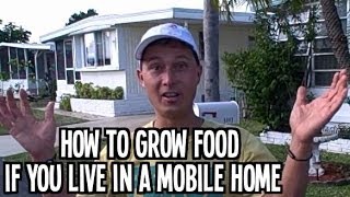 How to Grow an Organic Vegetable Garden at a Mobile Home