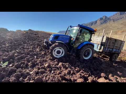 New Holland T4 75s