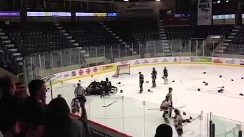 Shermont bantam bb - champion regionaux 2013-2014