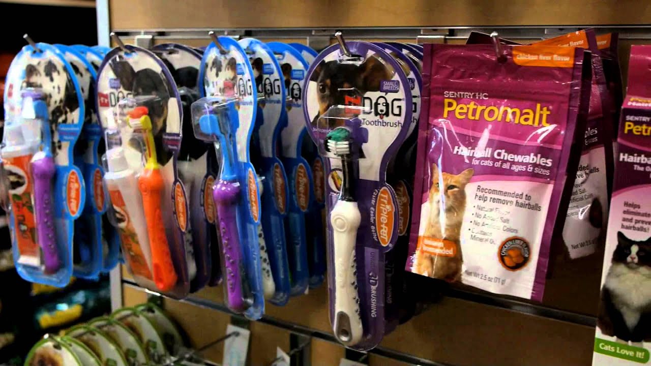 Brookline Grooming on America's Best Best of the Northeast YouTube