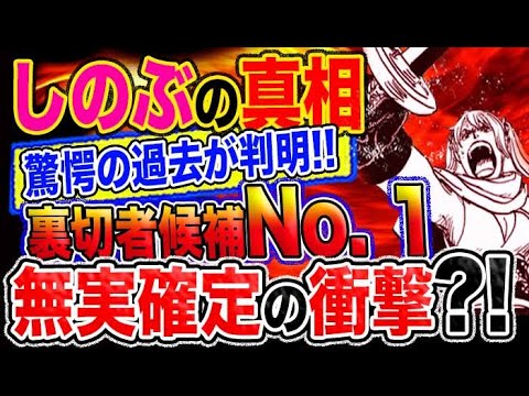 ワンピース 感想妄想考察 しのぶの真相 衝撃の過去が判明 裏切者no 1候補は無実が確定した Youtube