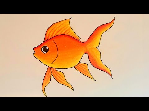 How to Draw a Goldfish - Step-by-Step Pet Fish Sketch