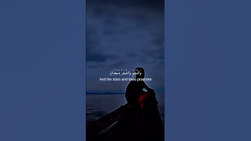 في لحظة الفجر.. تلاوة تبعث السكينة في قلبك 🌅🕊️