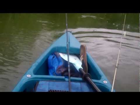 Topwater Bass Fayette Lake 11 26 11