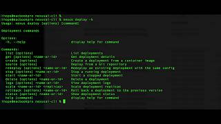Nexus AI CLI Setup Tutorial (Fast & Easy)