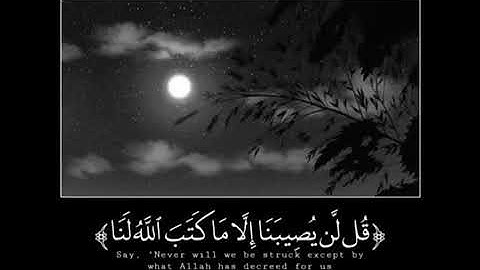 قل لن يصيبنا الا ماكتب الله لنا/ اجمل حالات وتس اب/ ومقاطع دينيه قصيره / تلاوه عذبه وخاشعه