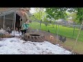 chicken run mud management @AcousticRandall