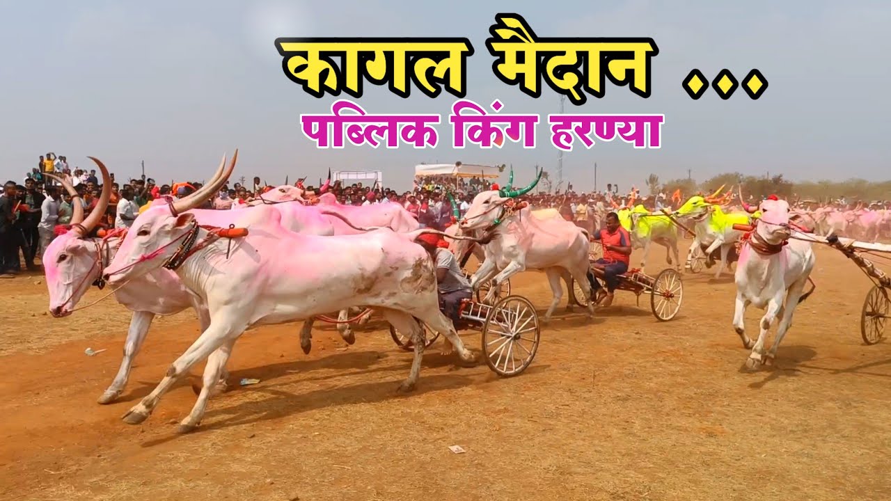 कागल जनरल बक्षीस 1 लाख रु कोल्हापूर हरण्या व प्रमोद थोरात वश्या प्रथम गाडीवान बंडा खिलारे