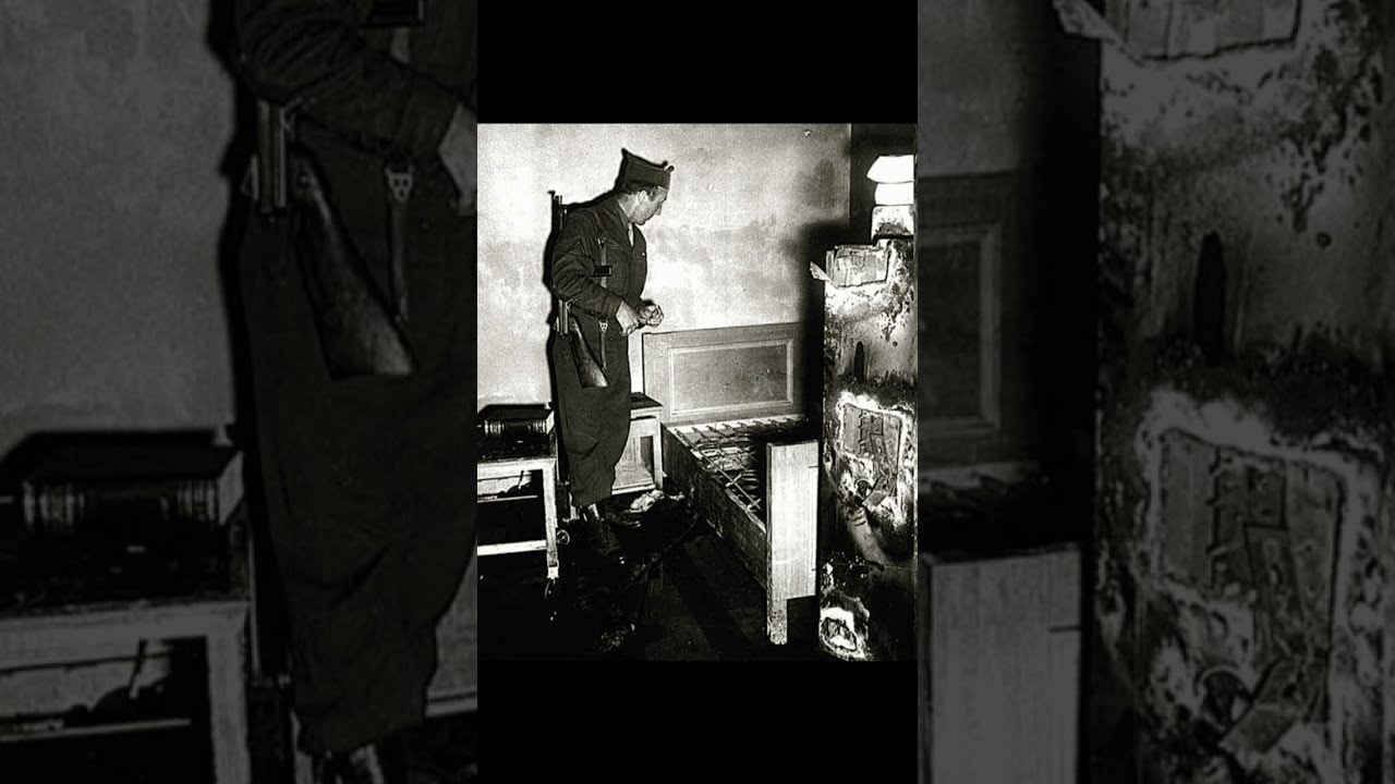 Hitler S Dog 