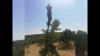 mırade kıne were dersımamıne